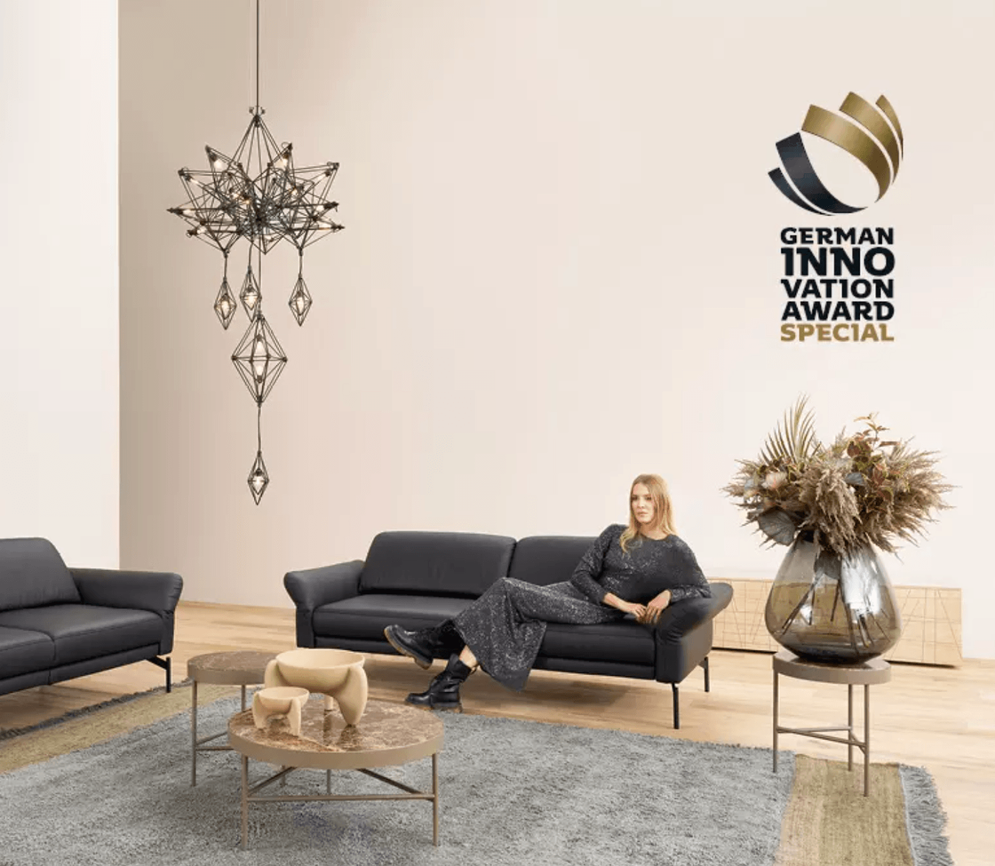 Modernes Wohnzimmer, Designer-Sofa und German Innovation Award-Logo