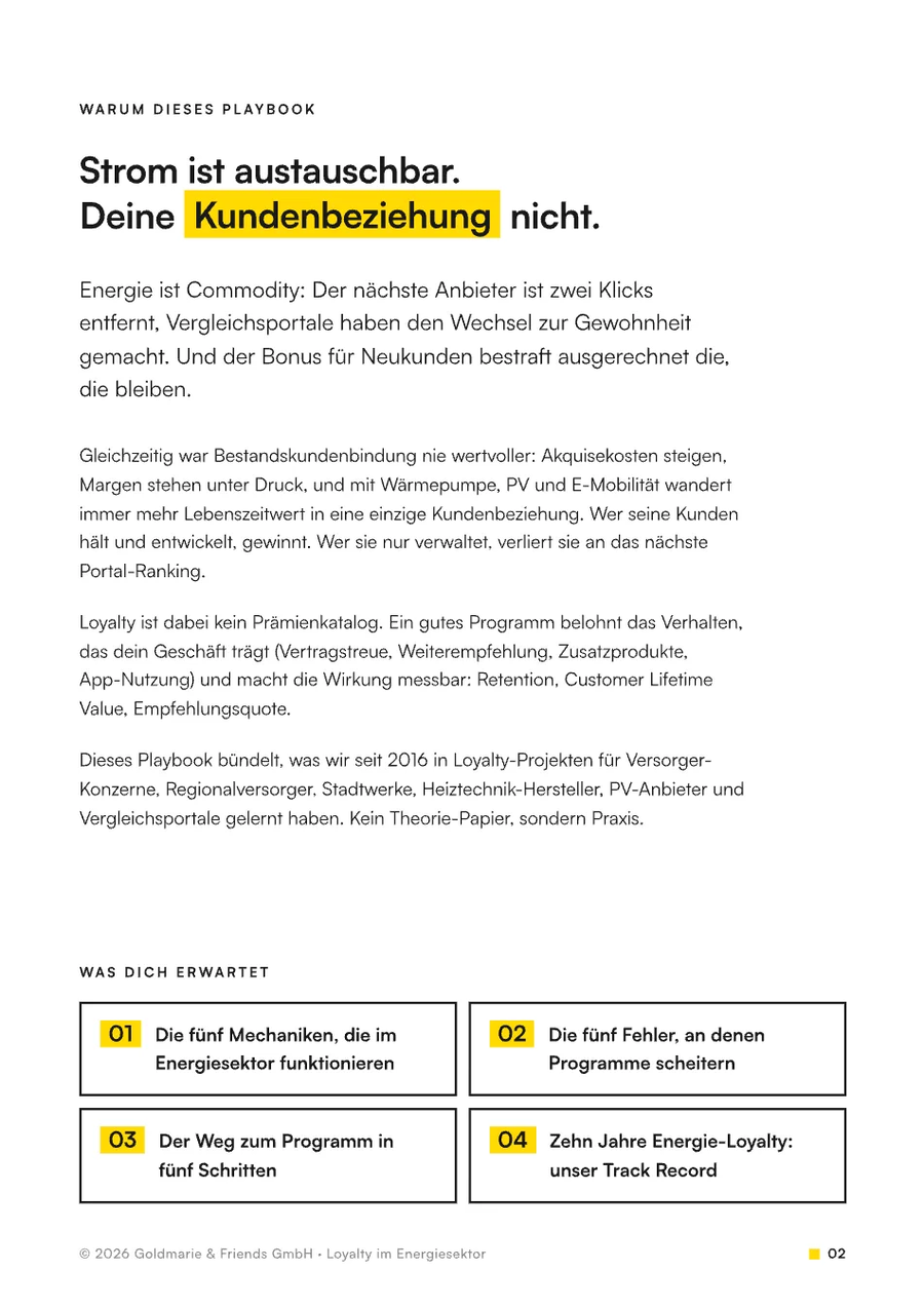 Vorschau Playbook Energiesektor Seite 2