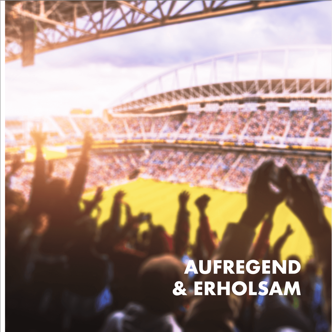 Broschüre: sonniges Stadion mit jubelnden Fans