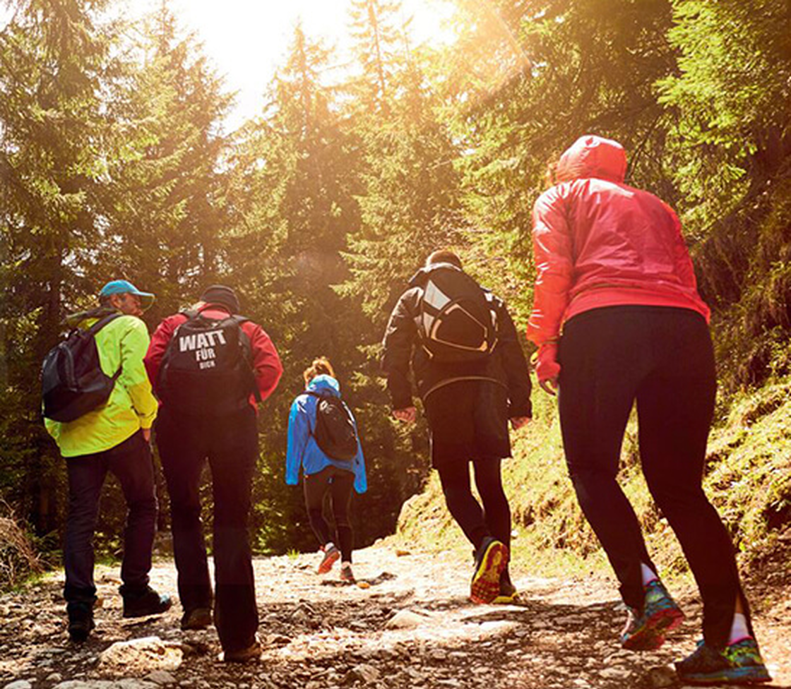 Gruppe beim Trailrunning bergauf auf einem sonnigen Waldweg