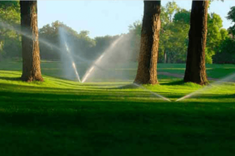 Sprinkler auf einer grünen Parkwiese