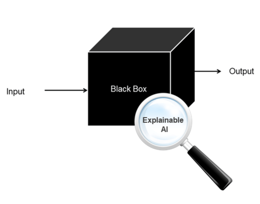 Lupe über einem Blackbox-Modell mit Input- und Output-Pfeilen