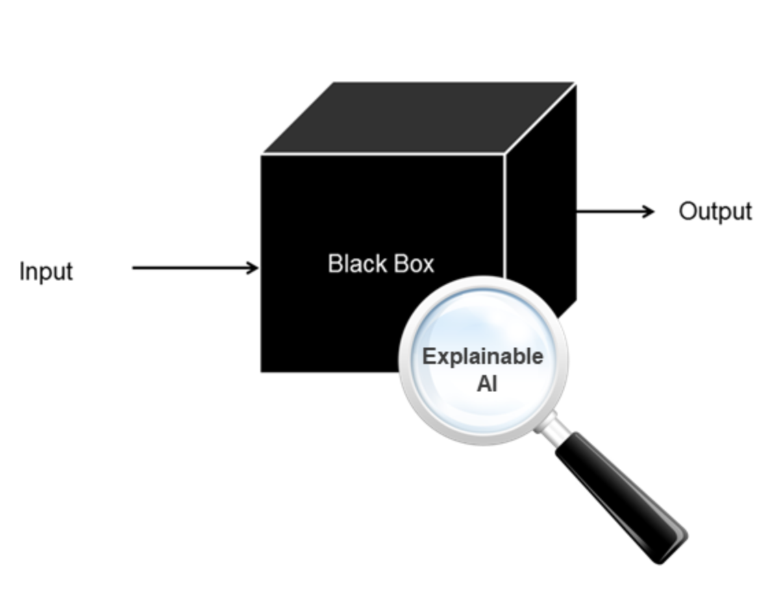 Erklärbare KI: Lupe über Blackbox-Modell zeigt Input‑Output‑Pfeile