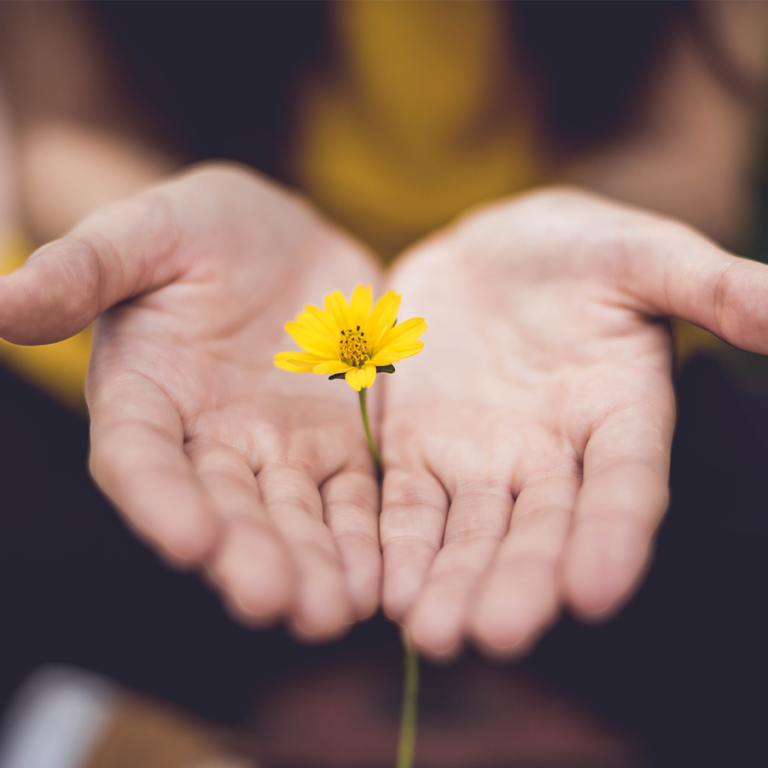 GLÜCKLICHE KUNDEN KÖNNEN IHREN UMSATZ VERZEHNFACHEN. HIER SIND DIE FAKTEN.