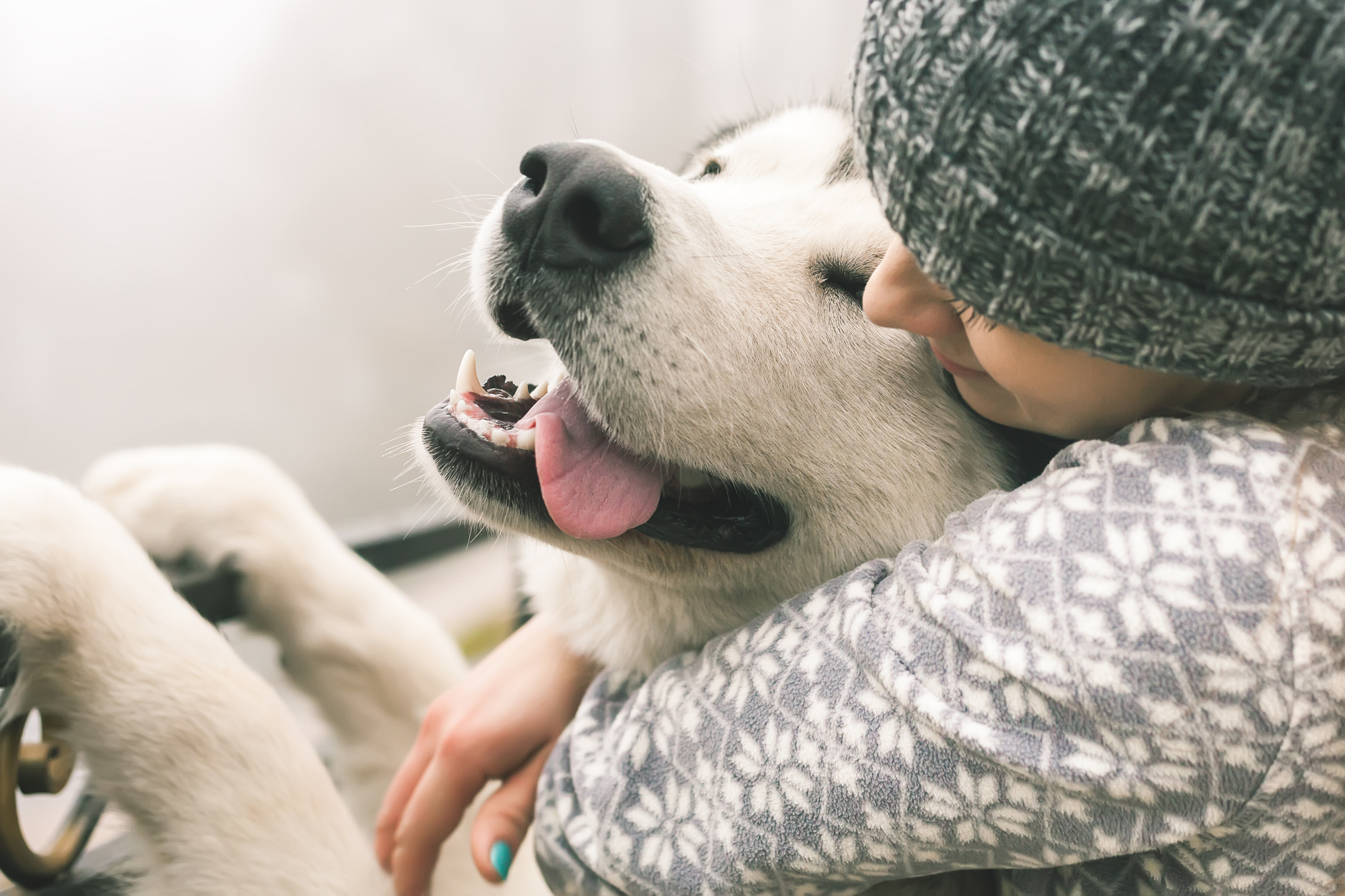 Mädchen kuschelt Alaskan Malamute im Winter – warme Nahaufnahme, liebevolle Zuneigung