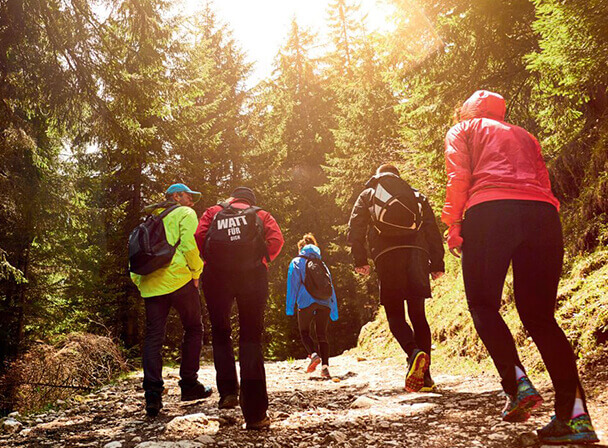 Wandergruppe mit Rucksäcken auf sonnigem Nadelwaldweg