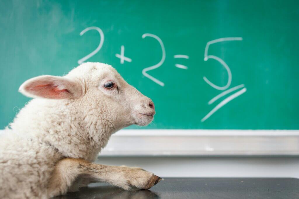Loyalty-Experten-Call für erfolgreiche Kundenbindung: Lamm vor Tafel mit 2+2=5