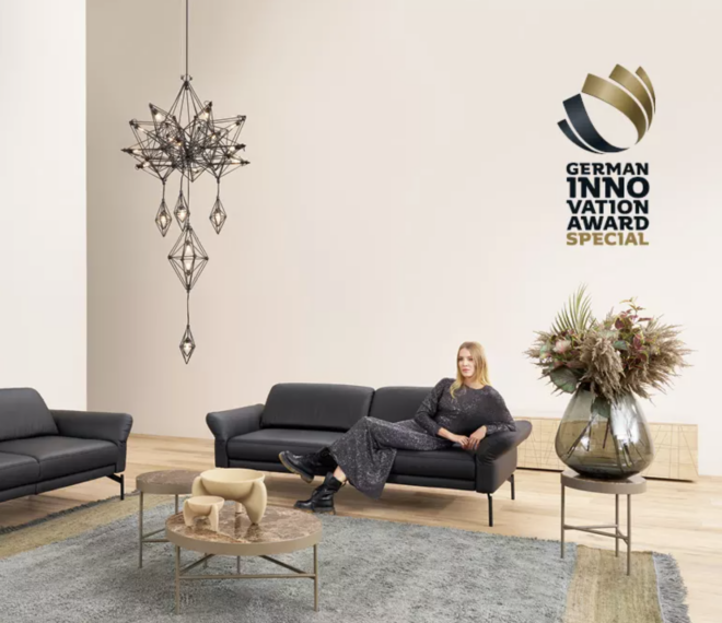 Modernes Wohnzimmer, Designer-Sofa und German Innovation Award-Logo