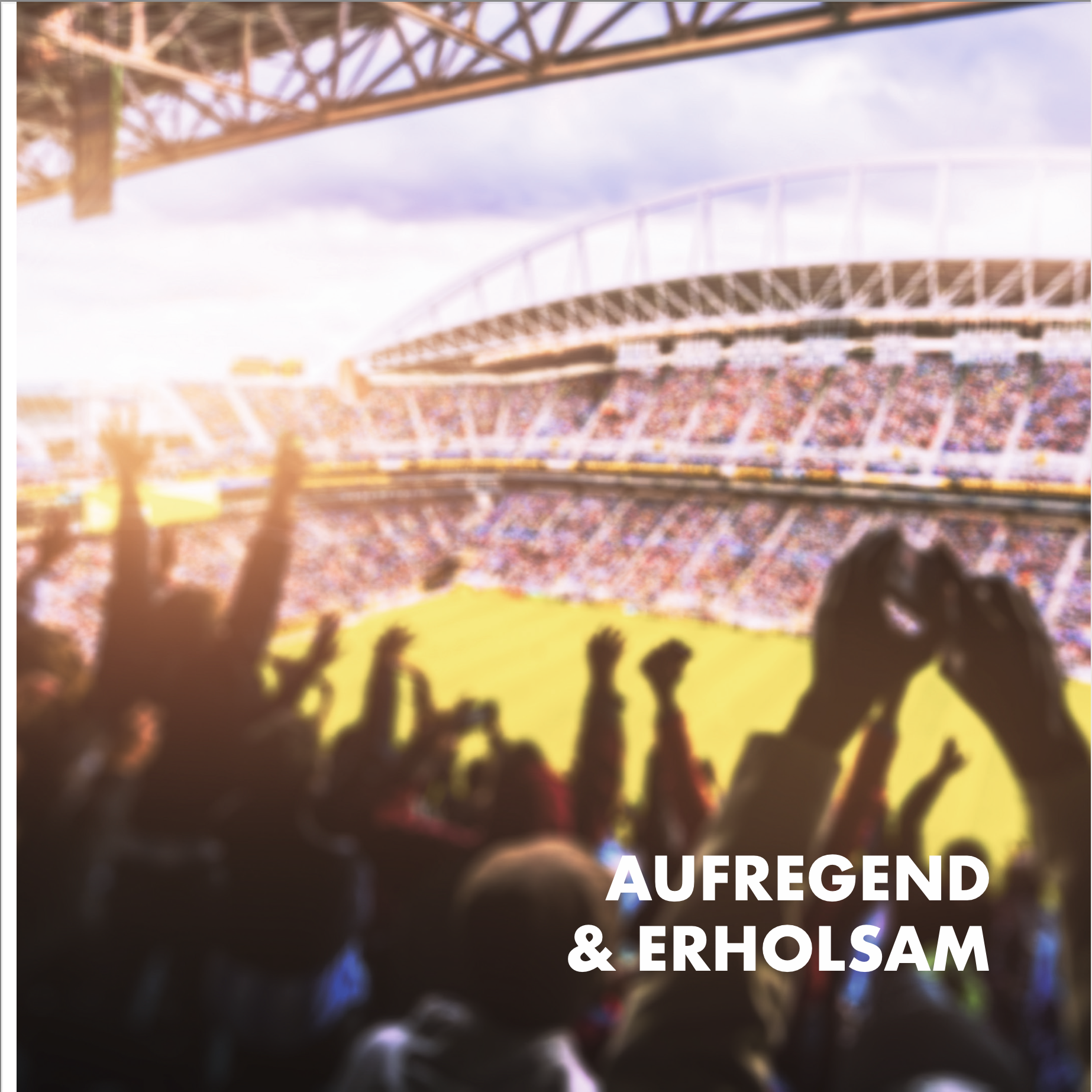 Partnerprogramm Photovoltaik für Verarbeiter: sonniges Stadion, jubelnde Fans, energiegeladenes Ambiente