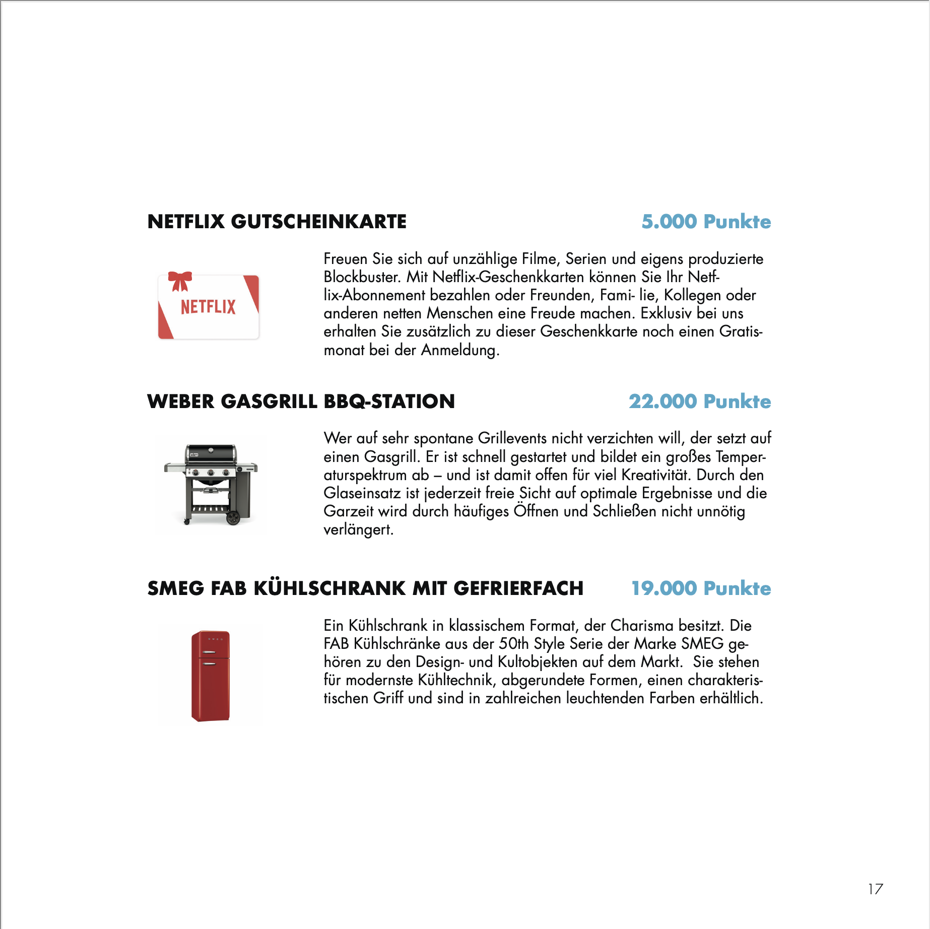 Prämienkatalog Partnerprogramm Photovoltaik für Verarbeiter – Netflix-Gutschein, Grill, Retro-Kühlschrank