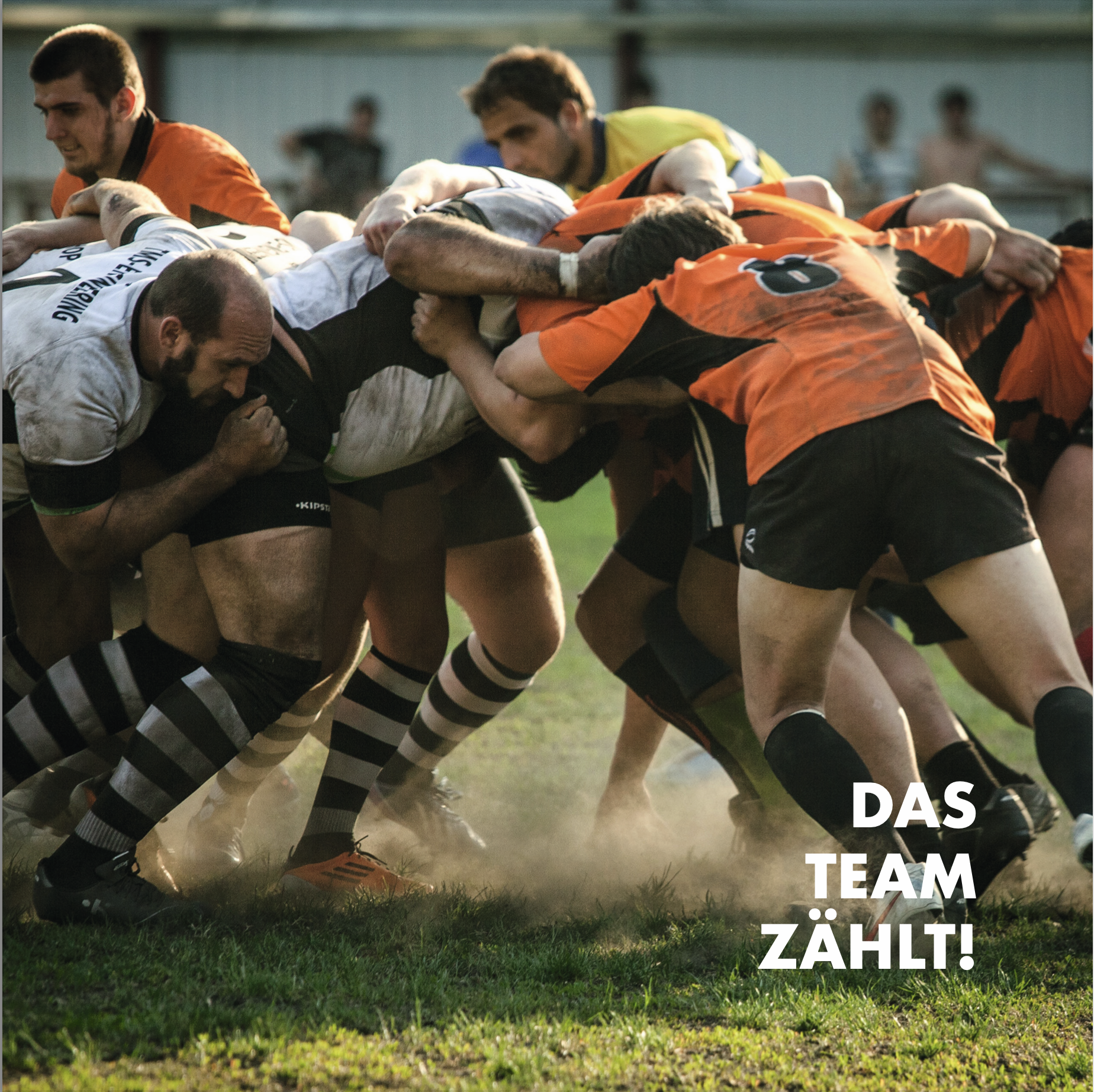 Partnerprogramm Photovoltaik für Verarbeiter: Teamkraft im Rugby-Scrum