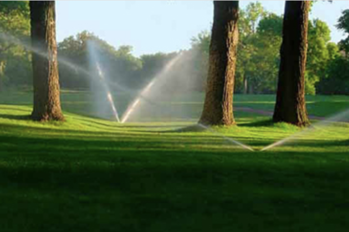 Abo-Modell Kundenbindung: Sprinklerpflege einer grünen Parkwiese am Morgen.